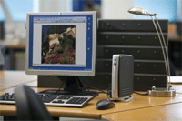 HP gung-ho about Thin Clients