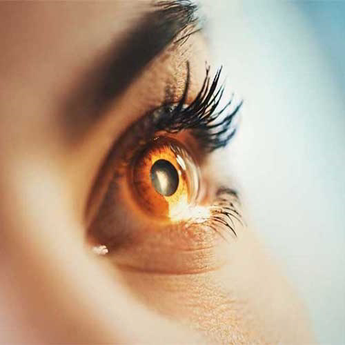 Google AI, can predict cardiovascular problems by eye scan