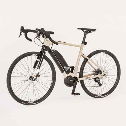 Free Electric bike: An innovative way to retain â€˜energyâ€™