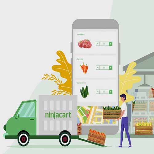 Ninjacart's valuation breaches $500 Mn